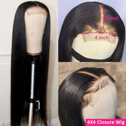ElisaHair 4x4 HD Transparent Lace Closure Wigs Straight Human Hair for Black Women Pre Plucked Natural Hairline